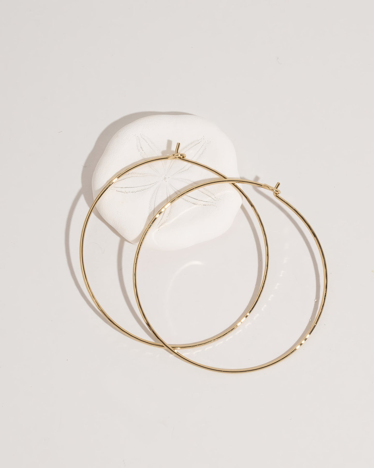 Hoop Earrings