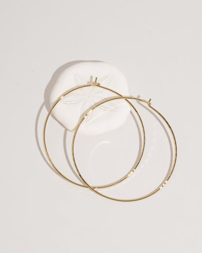 Hoop Earrings